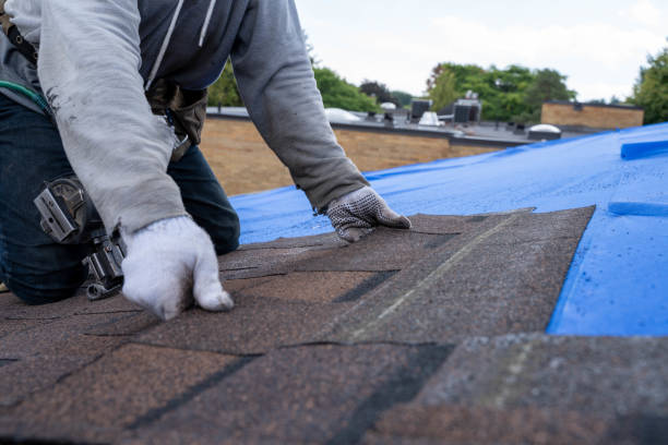 Roof Gutter Cleaning in Bannockburn, IL